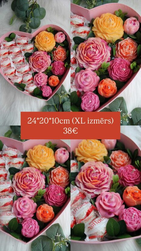 Sirds formas kaste XL